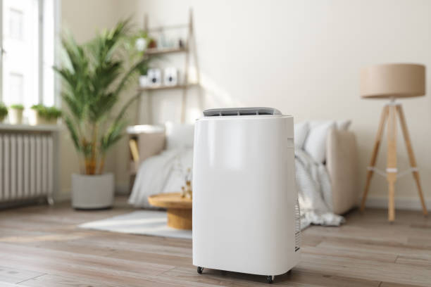 Best Local HVAC companies  in Pitola, CA
